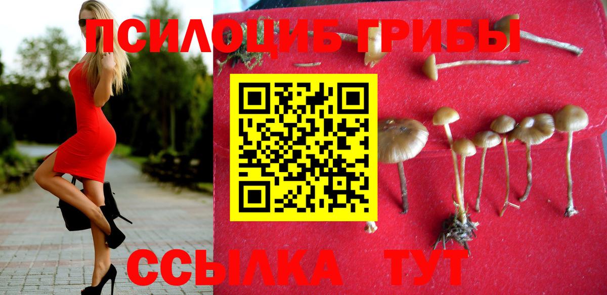 Псилоцибиновые грибы MAGIC MUSHROOMS Уссурийск