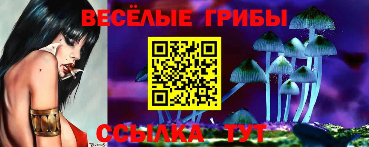 Уссурийск  Галлюциногенные грибы GOLDEN TEACHER  Вход с VPN 
